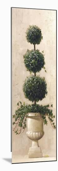 Roman Topiary II-Welby-Mounted Art Print