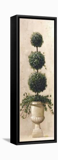 Roman Topiary II-Welby-Framed Stretched Canvas