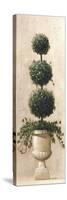 Roman Topiary II-Welby-Stretched Canvas