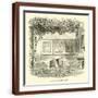 Brown Frame