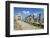 Roman Triumphal Arch and Colonnaded Street, Al Bas Site, Unesco World Heritage Site, Tyre, Lebanon-Gavin Hellier-Framed Premium Photographic Print