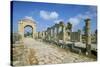 Roman Triumphal Arch and Colonnaded Street, Al Bas Site, Unesco World Heritage Site, Tyre, Lebanon-Gavin Hellier-Stretched Canvas