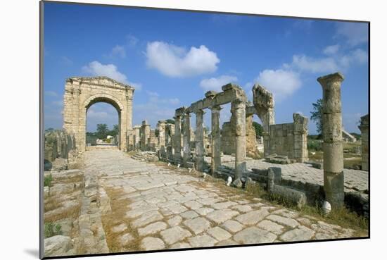 Roman Triumphal Arch and Colonnaded Street, Al Bas Site, Unesco World Heritage Site, Tyre, Lebanon-Gavin Hellier-Mounted Photographic Print