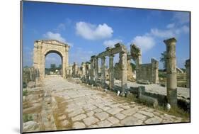 Roman Triumphal Arch and Colonnaded Street, Al Bas Site, Unesco World Heritage Site, Tyre, Lebanon-Gavin Hellier-Mounted Photographic Print