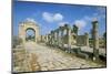 Roman Triumphal Arch and Colonnaded Street, Al Bas Site, Unesco World Heritage Site, Tyre, Lebanon-Gavin Hellier-Mounted Photographic Print