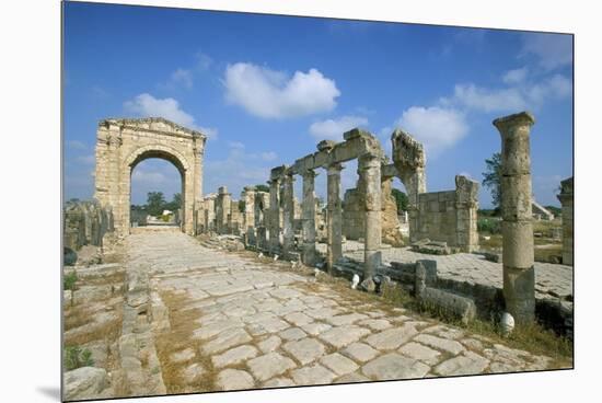 Roman Triumphal Arch and Colonnaded Street, Al Bas Site, Unesco World Heritage Site, Tyre, Lebanon-Gavin Hellier-Mounted Premium Photographic Print