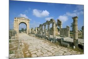 Roman Triumphal Arch and Colonnaded Street, Al Bas Site, Unesco World Heritage Site, Tyre, Lebanon-Gavin Hellier-Mounted Premium Photographic Print