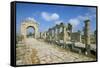 Roman Triumphal Arch and Colonnaded Street, Al Bas Site, Unesco World Heritage Site, Tyre, Lebanon-Gavin Hellier-Framed Stretched Canvas