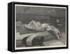 Romance and Repose-null-Framed Stretched Canvas