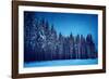 Romance for Rent-Philippe Sainte-Laudy-Framed Photographic Print