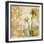 Romance II-Chris Donovan-Framed Art Print