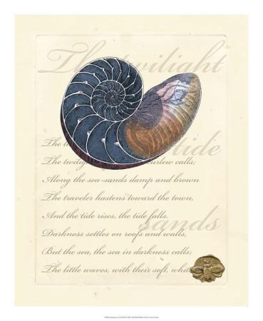 https://imgc.allpostersimages.com/img/posters/romance-of-the-shell-i_u-L-F4XH990.jpg?artPerspective=n