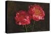 Romance-Janel Pahl-Stretched Canvas