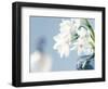 Romance-Christine Zalewski-Framed Premium Giclee Print