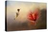 Romancing the Hibiscus-Jai Johnson-Stretched Canvas