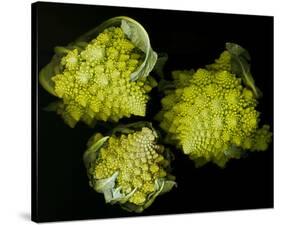 Romanesco Vegetable Fractal-null-Stretched Canvas