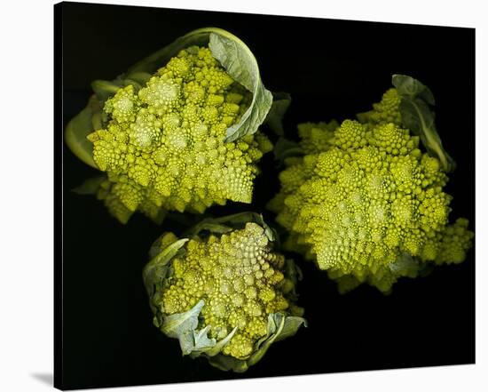 Romanesco Vegetable Fractal-null-Stretched Canvas