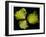 Romanesco Vegetable Fractal-null-Framed Art Print
