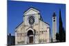 Romanesque Basilica of St. Zeno-null-Mounted Giclee Print