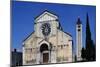 Romanesque Basilica of St. Zeno-null-Mounted Giclee Print