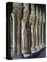 Romanesque Cloisters, St Bertrand De Comminges, Haute-Garonne, Midi-Pyrenees, France-Doug Pearson-Stretched Canvas