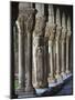 Romanesque Cloisters, St Bertrand De Comminges, Haute-Garonne, Midi-Pyrenees, France-Doug Pearson-Mounted Photographic Print