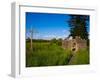 Romanesque Doorway, Kilbunny Church, Portlaw, County Waterford, Ireland-null-Framed Photographic Print