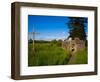 Romanesque Doorway, Kilbunny Church, Portlaw, County Waterford, Ireland-null-Framed Photographic Print