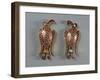 Romania, Apahida, Eagle Shaped Buckle, Gold and Gems from the Omharus Treasure, Found in 1969-null-Framed Giclee Print