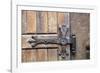 Romania. Brasov. Detail of church exterior. Wood door hinge.-Emily Wilson-Framed Photographic Print