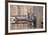 Romania. Brasov. Detail of church exterior. Wood door hinge.-Emily Wilson-Framed Photographic Print