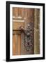 Romania, Brasov. Door handle, key hole.-Emily Wilson-Framed Photographic Print