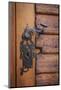 Romania, Brasov. Door handle, key hole.-Emily Wilson-Mounted Photographic Print