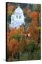 Romania, Brasov, Romanian Orthodox Church, Buna Vestire.-Emily Wilson-Stretched Canvas