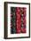 Romania. Brasov. Traditional stitching and embroidery.-Emily Wilson-Framed Photographic Print