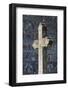 Romania, Bucovina, Sucevita, Sucevita Monastery, Frescoes and Cross-Walter Bibikow-Framed Photographic Print