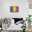 Romania Country Flag - Barnwood Painting-Lantern Press-Framed Stretched Canvas displayed on a wall