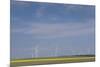 Romania, Danube River Delta, Bestepe, Farm Fields and Windmills-Walter Bibikow-Mounted Premium Photographic Print