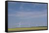 Romania, Danube River Delta, Bestepe, Farm Fields and Windmills-Walter Bibikow-Framed Stretched Canvas