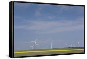 Romania, Danube River Delta, Bestepe, Farm Fields and Windmills-Walter Bibikow-Framed Stretched Canvas