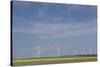 Romania, Danube River Delta, Bestepe, Farm Fields and Windmills-Walter Bibikow-Stretched Canvas