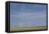 Romania, Danube River Delta, Bestepe, Farm Fields and Windmills-Walter Bibikow-Framed Stretched Canvas