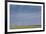 Romania, Danube River Delta, Bestepe, Farm Fields and Windmills-Walter Bibikow-Framed Photographic Print