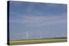 Romania, Danube River Delta, Bestepe, Farm Fields and Windmills-Walter Bibikow-Stretched Canvas