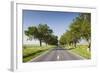 Romania, Danube River Delta, Tulcea, Country Road-Walter Bibikow-Framed Photographic Print