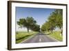 Romania, Danube River Delta, Tulcea, Country Road-Walter Bibikow-Framed Photographic Print