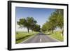 Romania, Danube River Delta, Tulcea, Country Road-Walter Bibikow-Framed Photographic Print