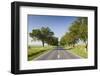 Romania, Danube River Delta, Tulcea, Country Road-Walter Bibikow-Framed Photographic Print