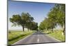 Romania, Danube River Delta, Tulcea, Country Road-Walter Bibikow-Mounted Photographic Print