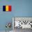 Romania Flag Design with Wood Patterning - Flags of the World Series-Philippe Hugonnard-Stretched Canvas displayed on a wall